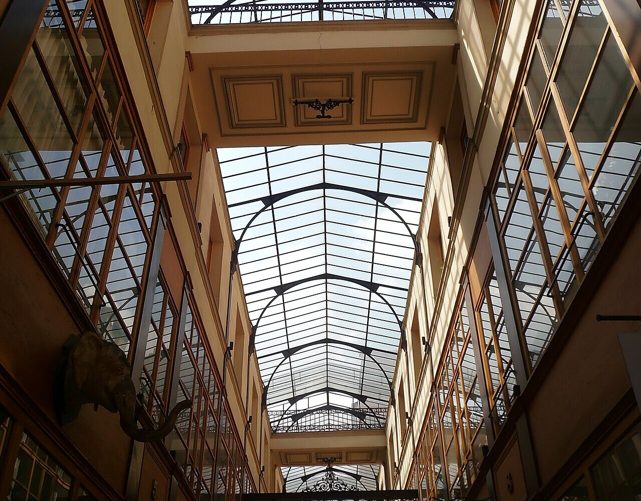 La verrière du passage du Grand-Cerf vue depuis le sol, à Paris