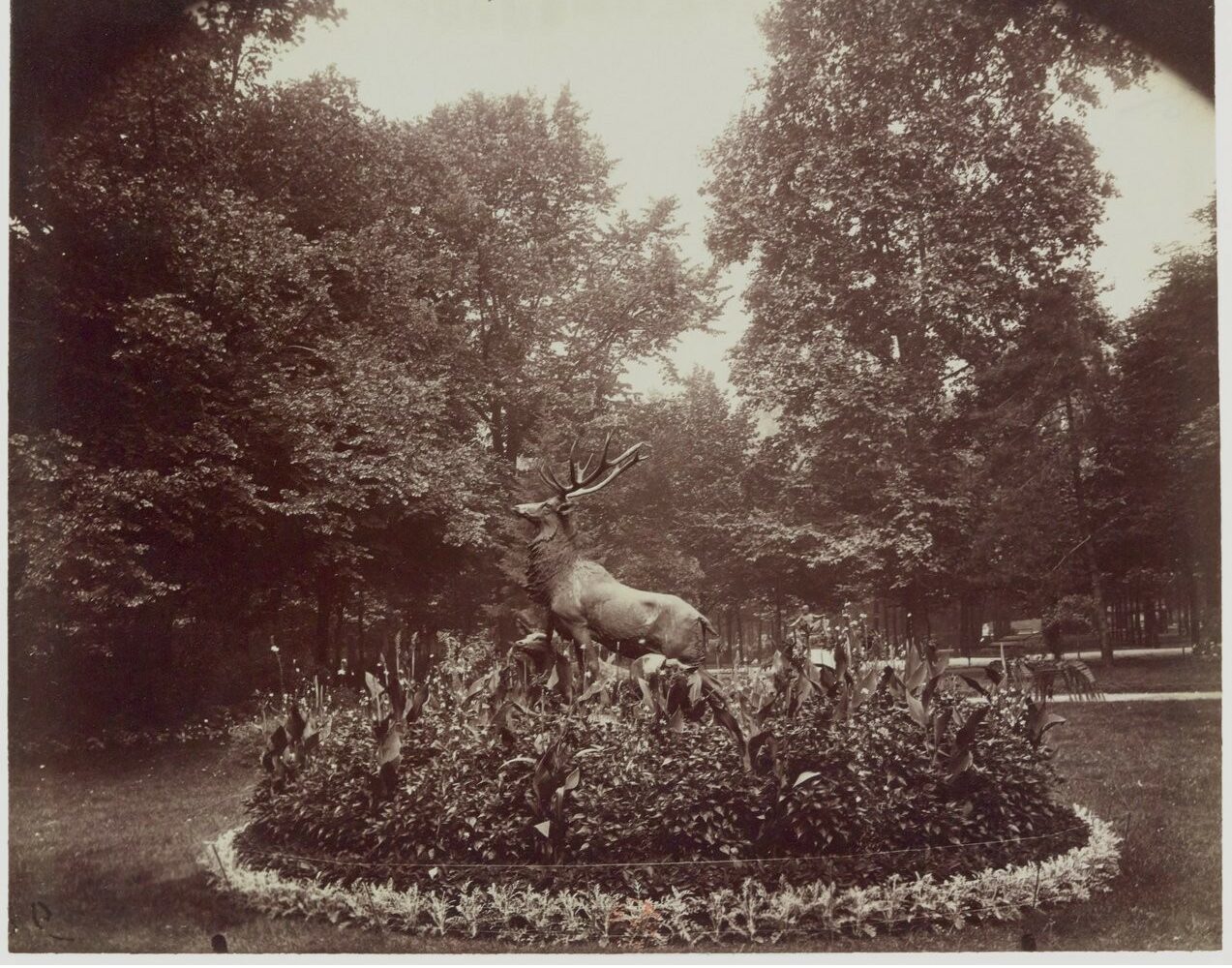 Un cerf de bronze au milieu d'un massif du jardin du Luxembourg, photographié par Eugène Atget