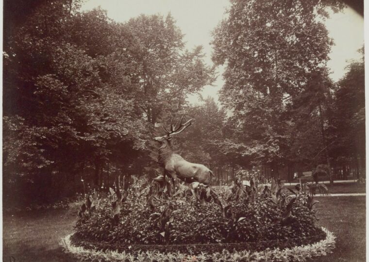 Un cerf de bronze au milieu d'un massif du jardin du Luxembourg, photographié par Eugène Atget
