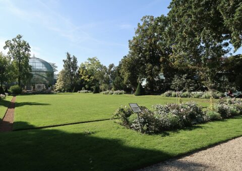 La pelouse du jardin des serres d'Auteuil et, au fond, le dôme vitré du palmarium entre les arbres