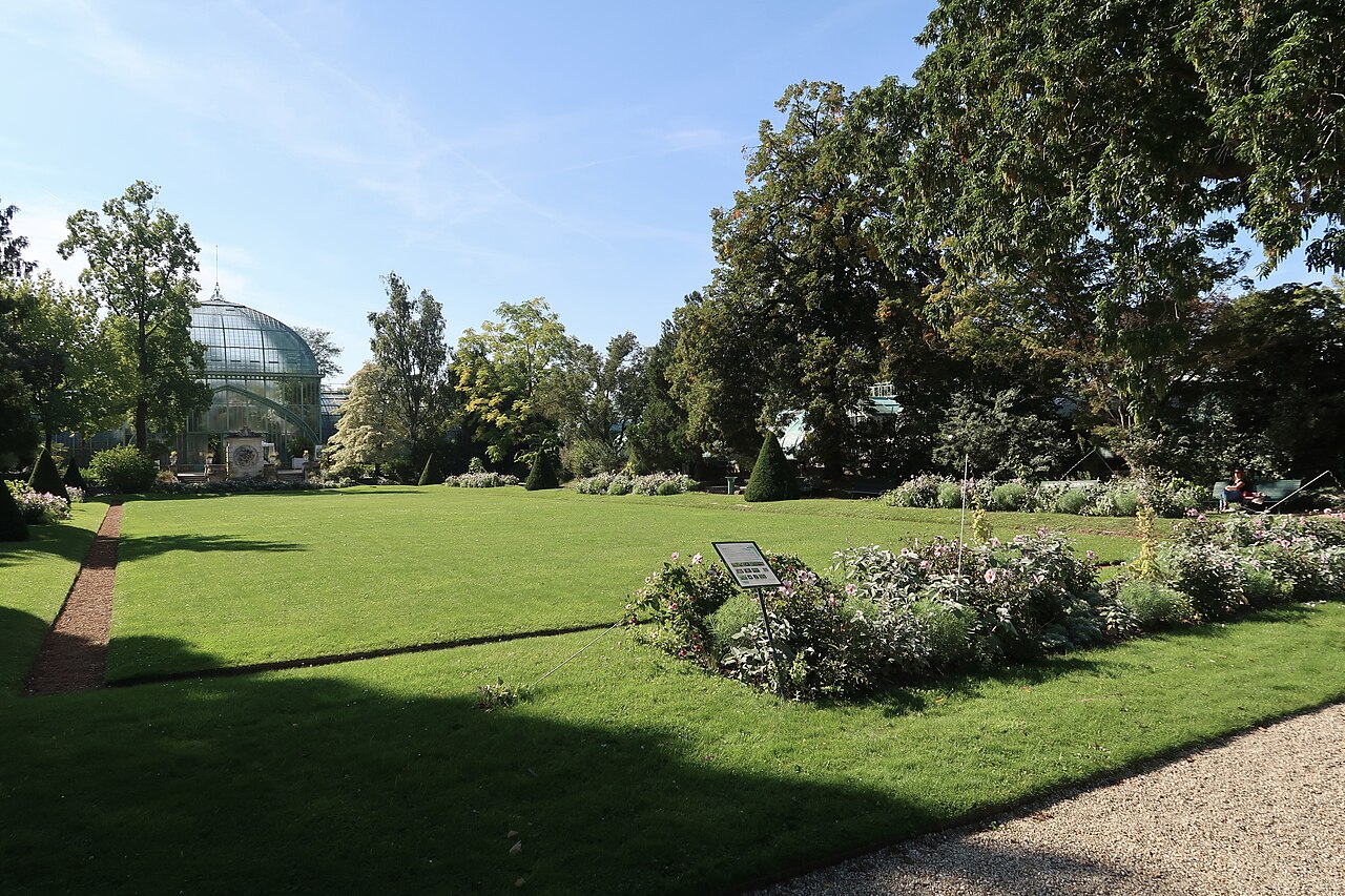 La pelouse du jardin des serres d'Auteuil et, au fond, le dôme vitré du palmarium entre les arbres