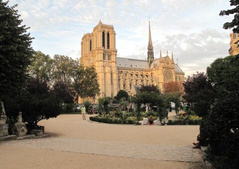 Le square René-Viviani au soleil couchant, ses massifs fleuris et le chevet de Notre-Dame de Paris au fond