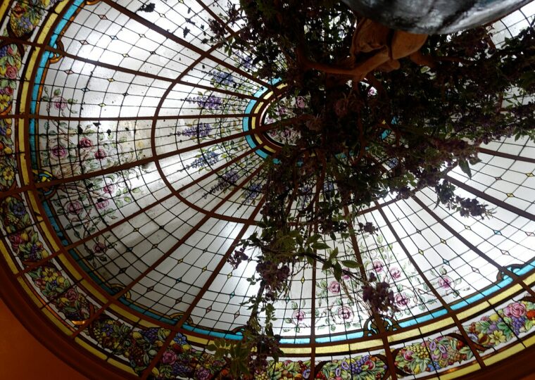 La coupole de verre de la brasserie Bofinger à Paris