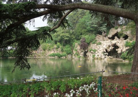 La Grande Cascade du bois de Boulogne, ses rochers et son plan d'eau vus sous les branches du cèdre du Liban qui la borde