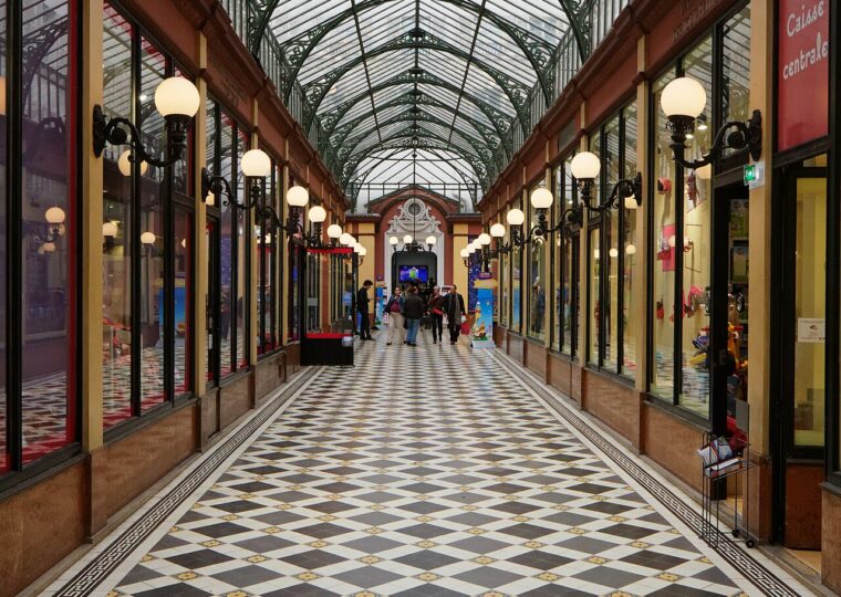 Le passage des Princes à Paris, sous sa verrière