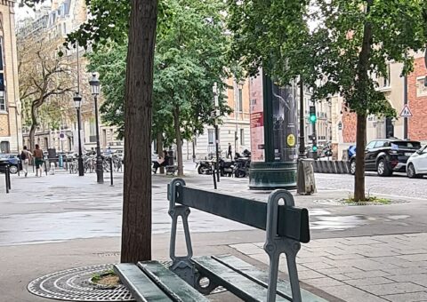 Un banc Davioud à double assise dos à dos, fonte et lattes de bois, sur la place Lévis