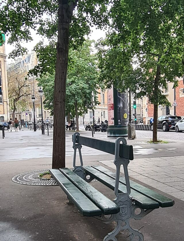 Un banc Davioud à double assise dos à dos, fonte et lattes de bois, sur la place Lévis