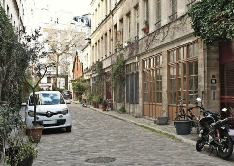 Le passage Lhomme, ses pavés, ses ateliers vitrés et sa végétation grimpante