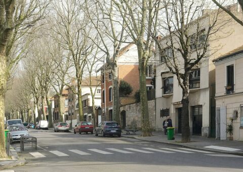 La rue de Mouzaïa plantée d'arbres, bordée de maisons basses en briques et meulière