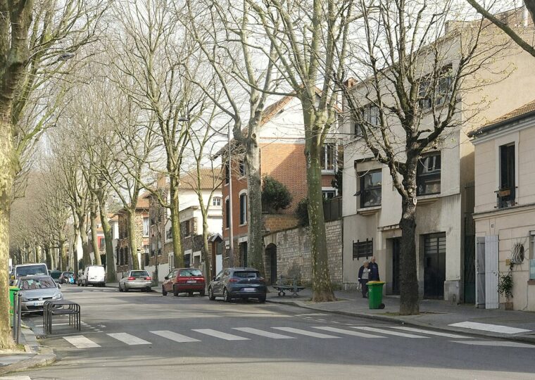 La rue de Mouzaïa plantée d'arbres, bordée de maisons basses en briques et meulière