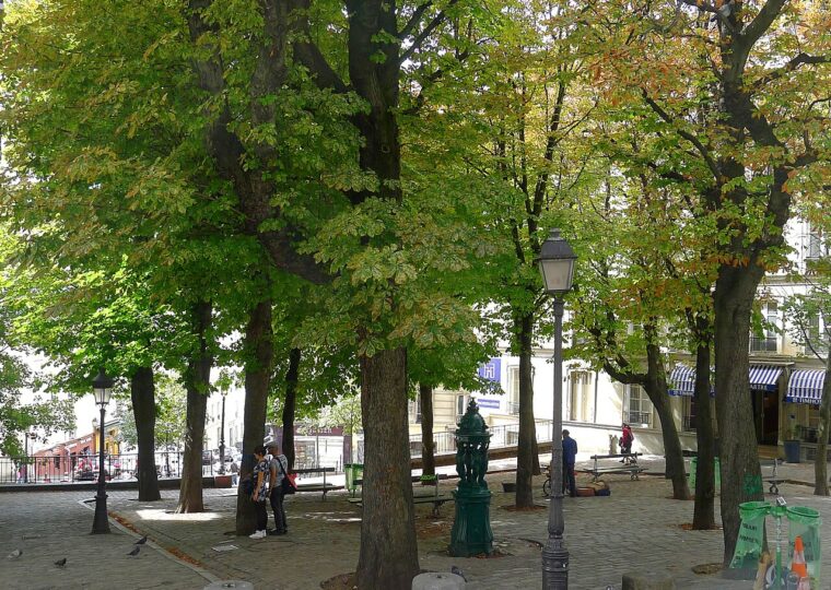 Place Émile-Goudeau