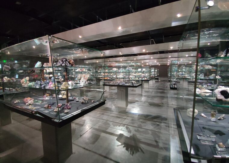 Cristaux de la collection de minéraux de Sorbonne Université, à Jussieu