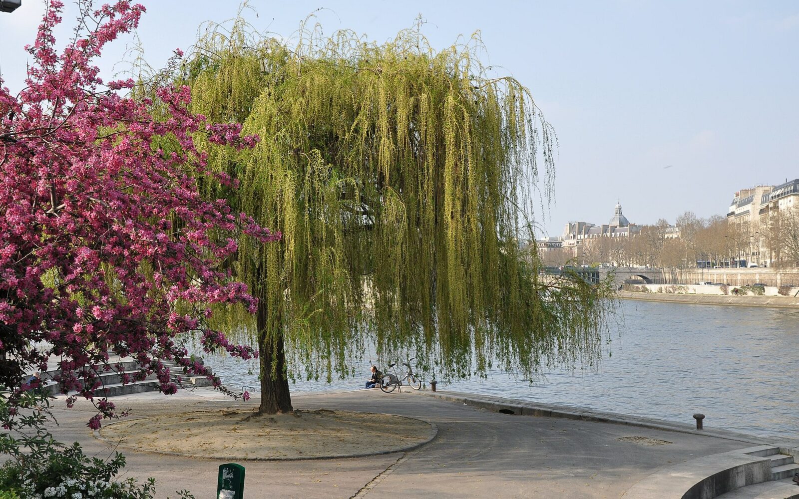 Le jardin Tino-Rossi et ses sculptures en plein air, au bord de la Seine