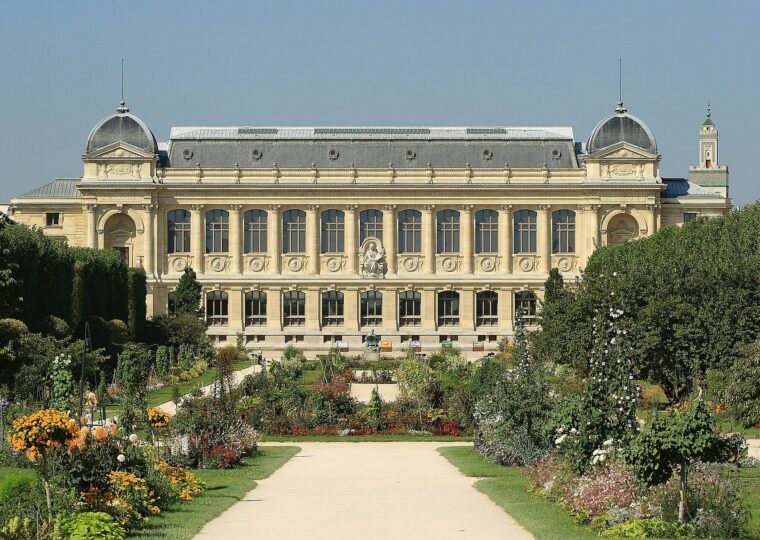 La Grande Galerie de l'Évolution du Muséum, au Jardin des Plantes