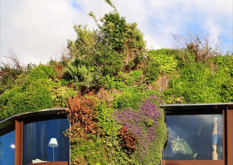Le mur végétal du musée du quai Branly le long de la Seine